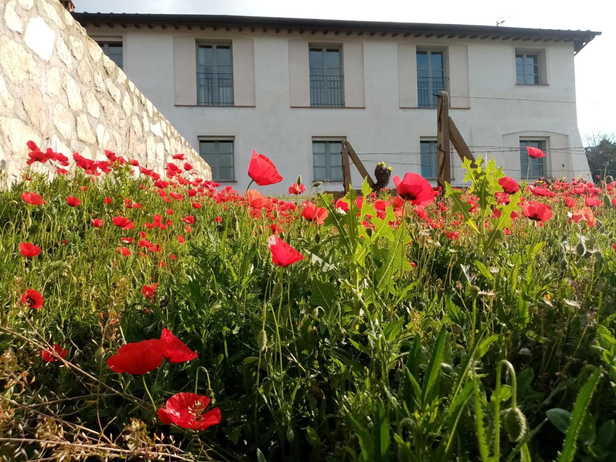 Aparthotel La Chiusa Di Rio Rio dellʼElba Exterior foto